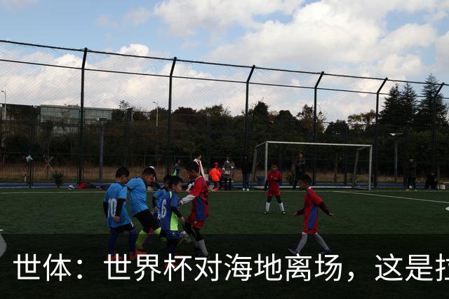 世体：世界杯对海地离场，这是拉菲尼亚本赛季第五次右腿肌肉受伤