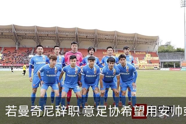 若曼奇尼辞职 意足协希望用安帅或卡纳瓦罗替代