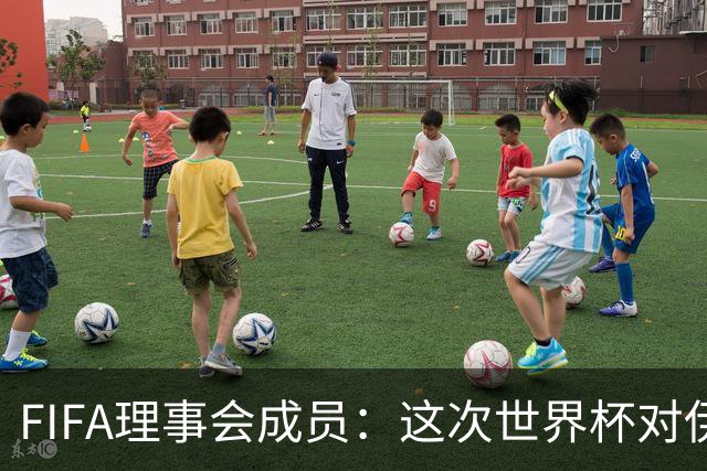 FIFA理事会成员：这次世界杯对伊朗太不公平，政治问题太敏感了